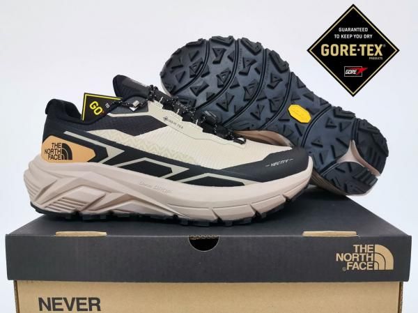 The North Facce vectiv Gore Tex Fix