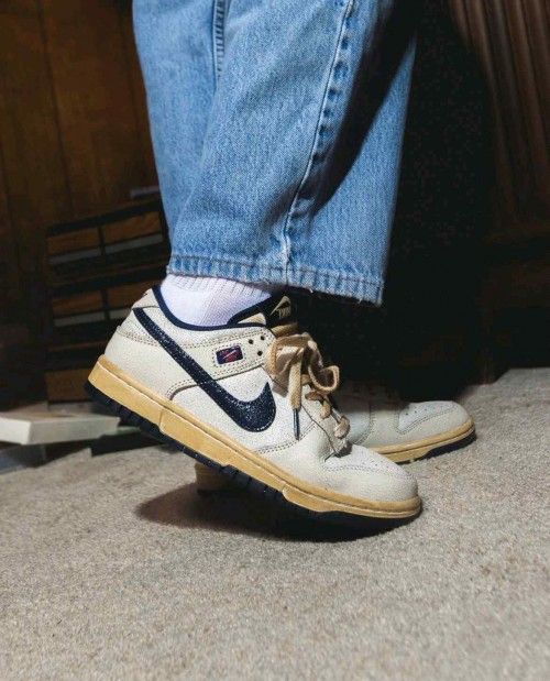 THE STRANGER THINGS X NIK SB DUNK LOW phantom