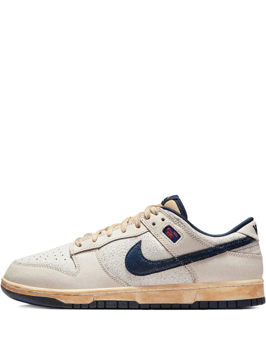 THE STRANGER THINGS X NIK SB DUNK LOW phantom