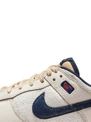 THE STRANGER THINGS X NIK SB DUNK LOW phantom