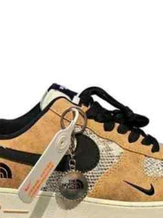 Nikee Air force 1 North face Beige Black
