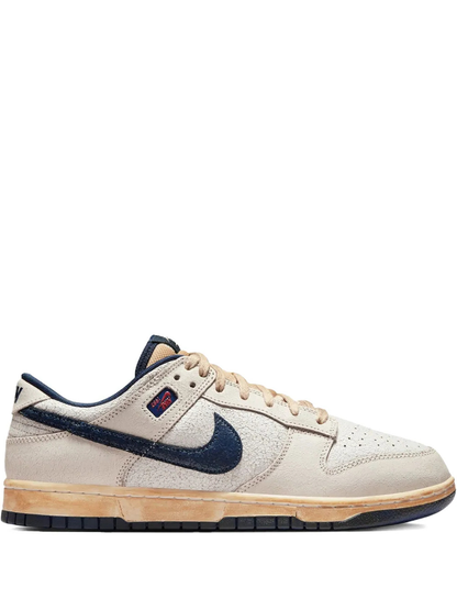 THE STRANGER THINGS X NIK SB DUNK LOW phantom