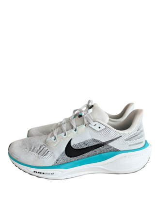 Nike Pegasus 41 White Blue