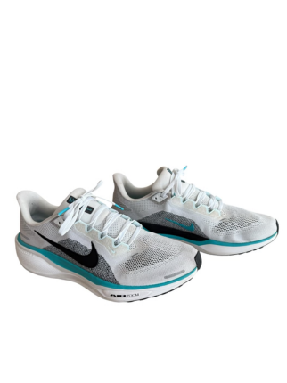 Nike Pegasus 41 White Blue