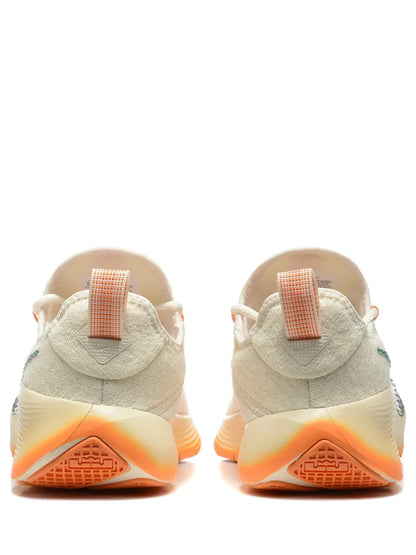 Nik ee honors famu lebron tr1