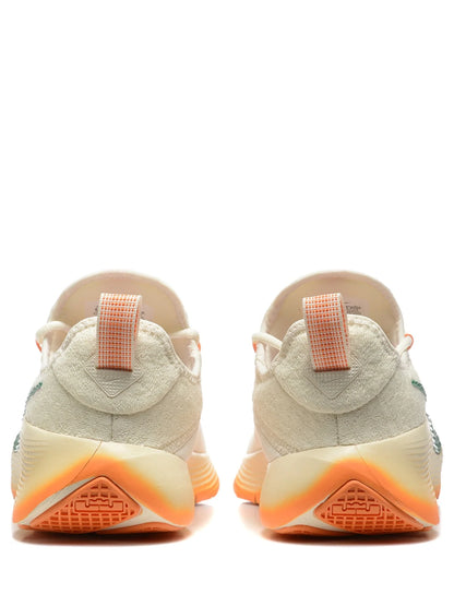 Nike honors famu lebron