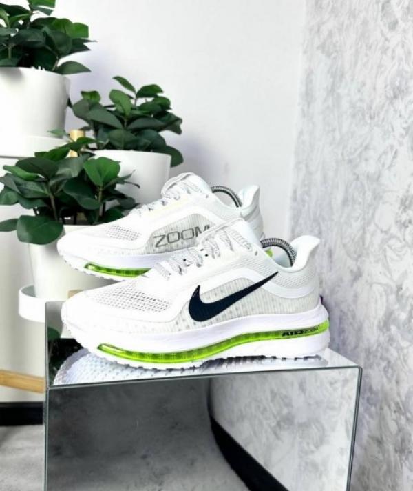 NIK_E AIR ZOOM PEGASUS PREMIUM RUNNING SHOE FIX