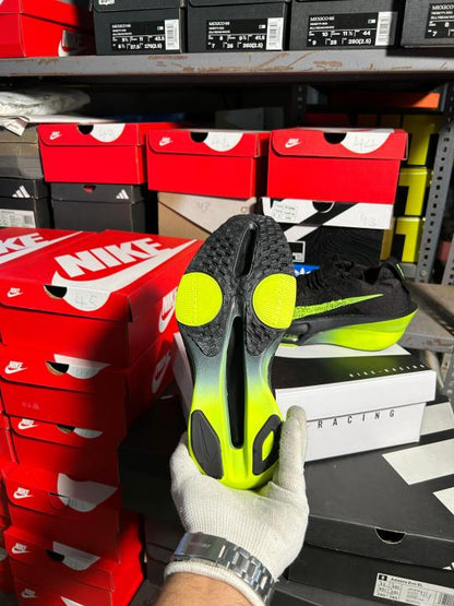 Nik ee zoom Alfafly next black volt