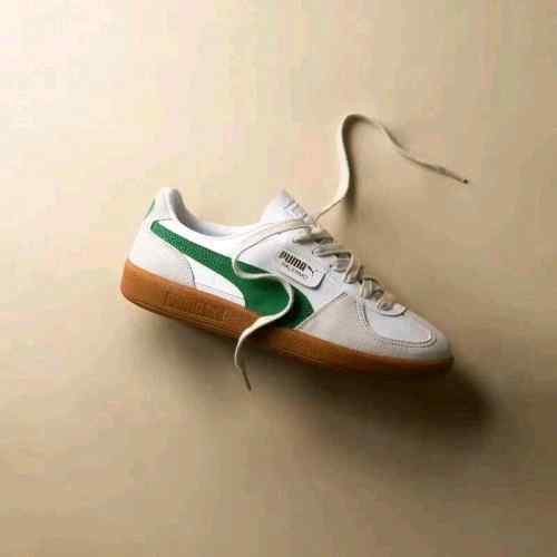 PUM AA palermo white green