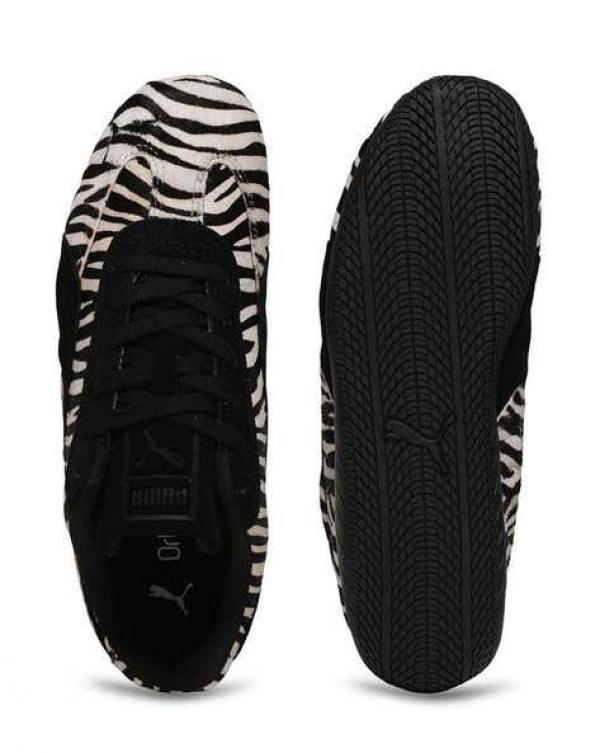 Pum. A Speedcat Zebra