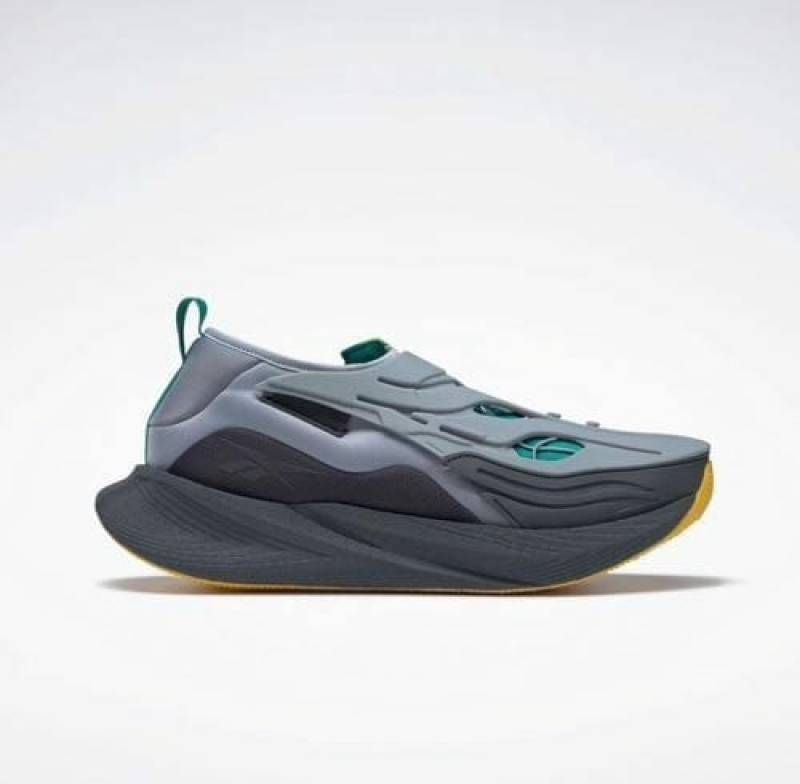 Reebok  floatride x argus grey 095