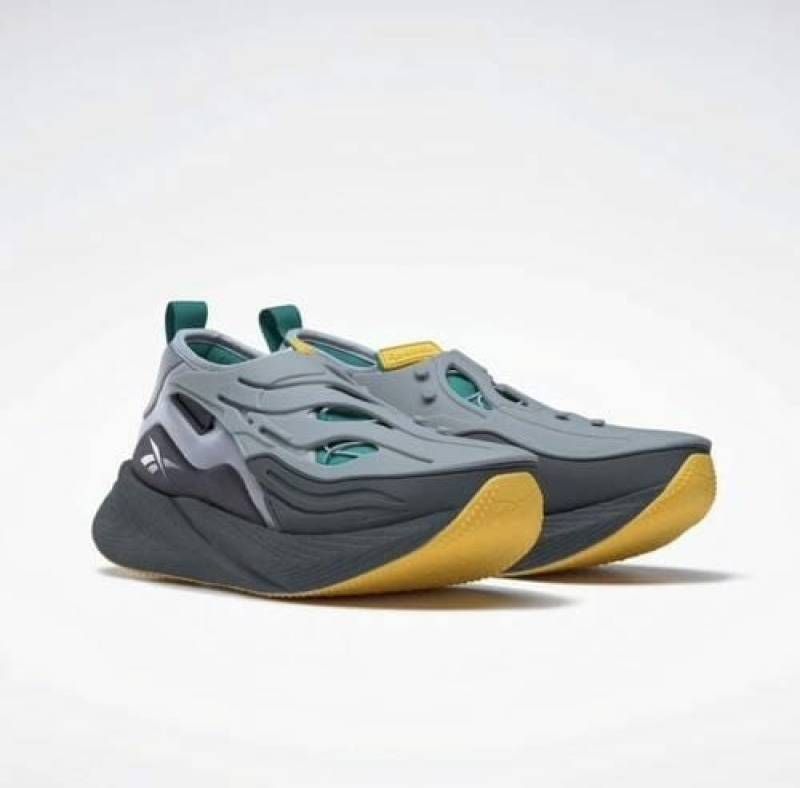 Reebok  floatride x argus grey 095