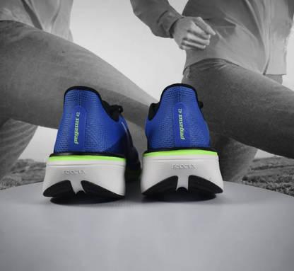Nikkee Air Zoom pegasus 42 Royal Blue