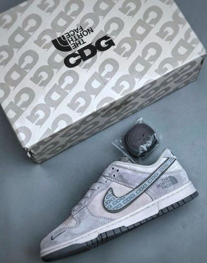Nikkee sb dunk low x the north fase