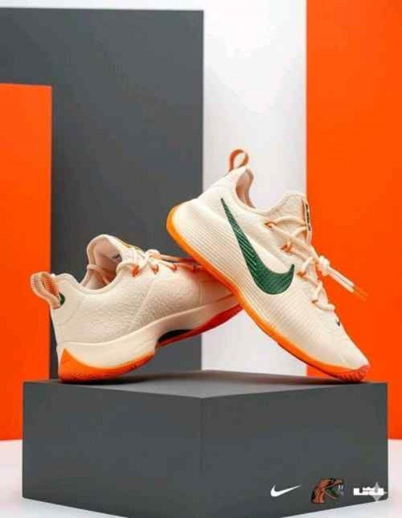 Nikkee honors famu lebron tr1