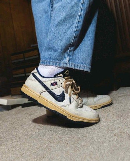 THE STRANGER THINGS X NIK SB DUNK LOW phantom