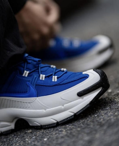 Nikke Zoom Vomero Roam Racer Blue
