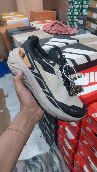 The North Facce vectiv Gore Tex Fix