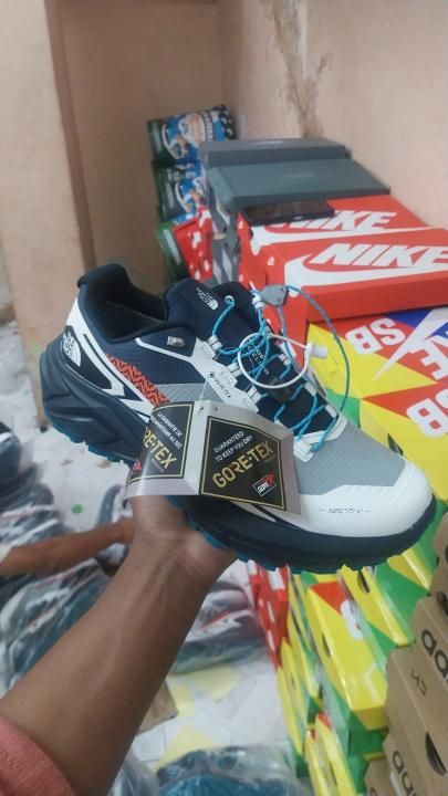 The North Facce vectiv Gore Tex Fix
