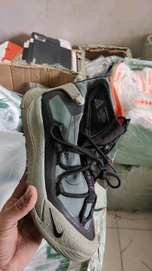 _Nikkee ACG Air Terra Antarktik_