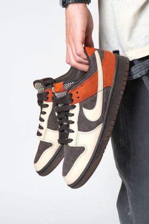 NIK Dunk Low Red Panda Brown Suede