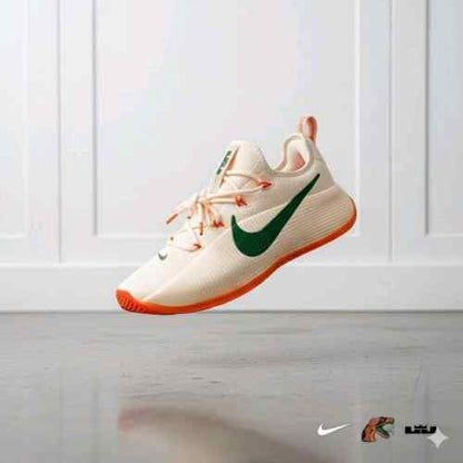 Nikee honors famu lebron tr1