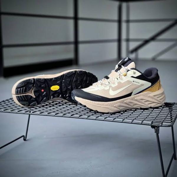 Nik.e Pegasus Trail 5 Gore Tex brown